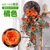 Enredaderas de rosas artificiales Austin, flores falsas para decoración suave de interiores, decoraciones de techo y revestimiento de conductos de aire acondicionado, al por mayor para decoraciones de boda