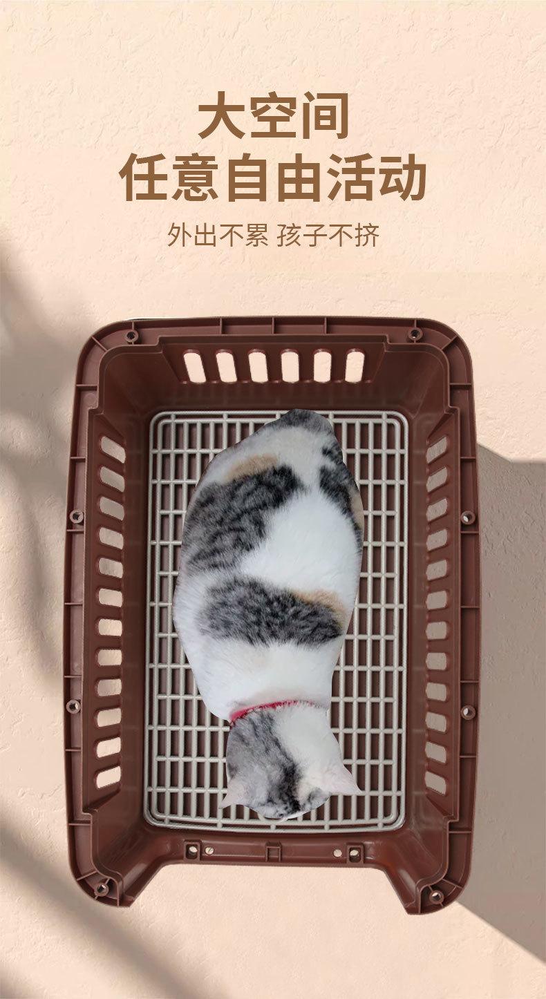 c8dedece-ae63-4551-ad5b-d71af218806a.jpe