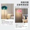 Lámpara de pie de plumas transfronteriza con un toque de alta gama para sala de estar y dormitorio, lámpara de noche estilo ins, lámpara de plumas decorativa para fondo de sofá y transmisión en vivo