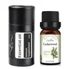 Óleo Essencial para Velas Solúvel em Óleo, Óleo Essencial Único à Base de Planta de Rosa, Umidificador, Máquina de Aromaterapia, Aroma para Carro de Lavanda