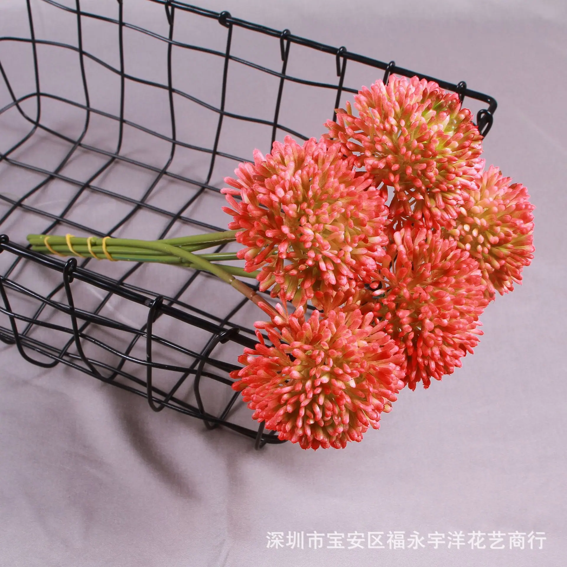 IMG_8593_副本.jpg