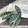 Folhas de Pavão Pretas, Folhas de Arranjo de Flores de Planta Simulada, Decoração de Casa, Folhas Coloridas de Taro, Folhas de Lótus de Guanyin, Plantas Verdes de Casamento