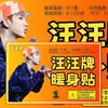 24 Piezas de Pegatinas de Calentamiento de Wang Sulong, Fotos Polaroid, Merchandising de Concierto de 100,000 Voltios, Tarjetas Autoimpresas de Xiaolongbao