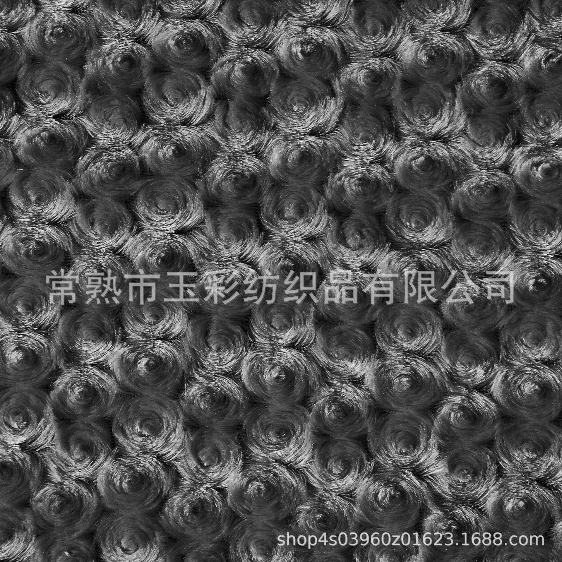 CSC_5706b
