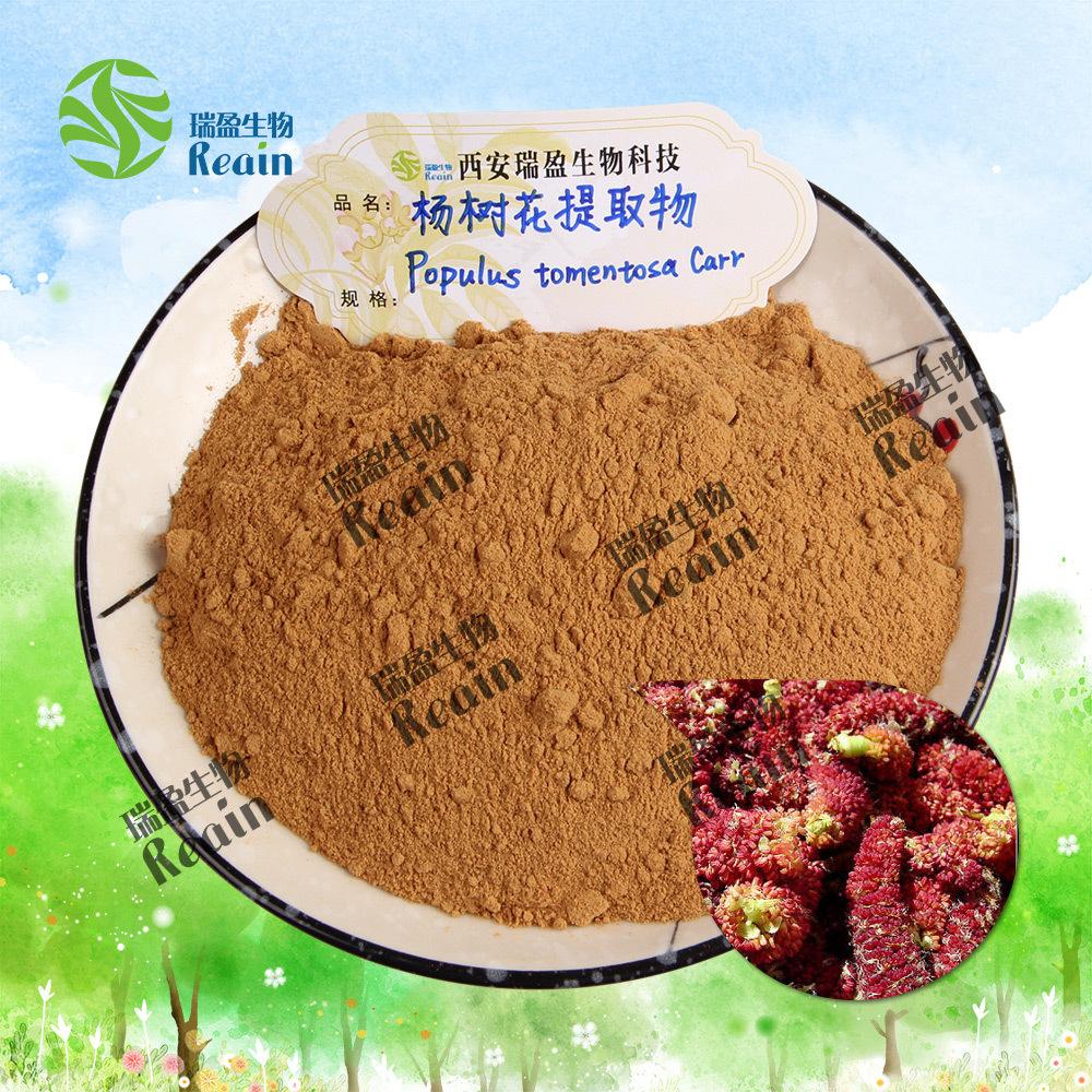 杨树花提取物原料+粉末