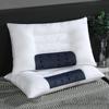 Textil del hogar núcleo de almohada núcleo de almohada para la salud almohada de trigo sarraceno almohada de semillas de casia almohada de lavanda almohada individual almohada para el cuello venta al por mayor
