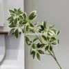 Planta Verde Simulação Pato Bolso Madeira Vasos Decoração Planta Simulação Pé de Pato Madeira Folha Verde Planta de Engenharia Material Parede Planta Folha
