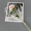 Atacado Rosa Única Simulada Presente Dia dos Namorados Chinês Rosa Cascata Parede de Flores Cena Doméstica Buquê de Flores Artificiais