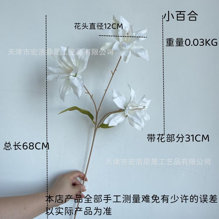 尺寸图