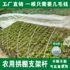 Marco de Invernadero Pequeño en Forma de Arco con Película de Fibra de Vidrio para Fresas, Postes Redondos, Estructura de Invernadero Agrícola de Alta Elasticidad, Postes de Arco de Película para Cultivo de Verduras al Aire Libre