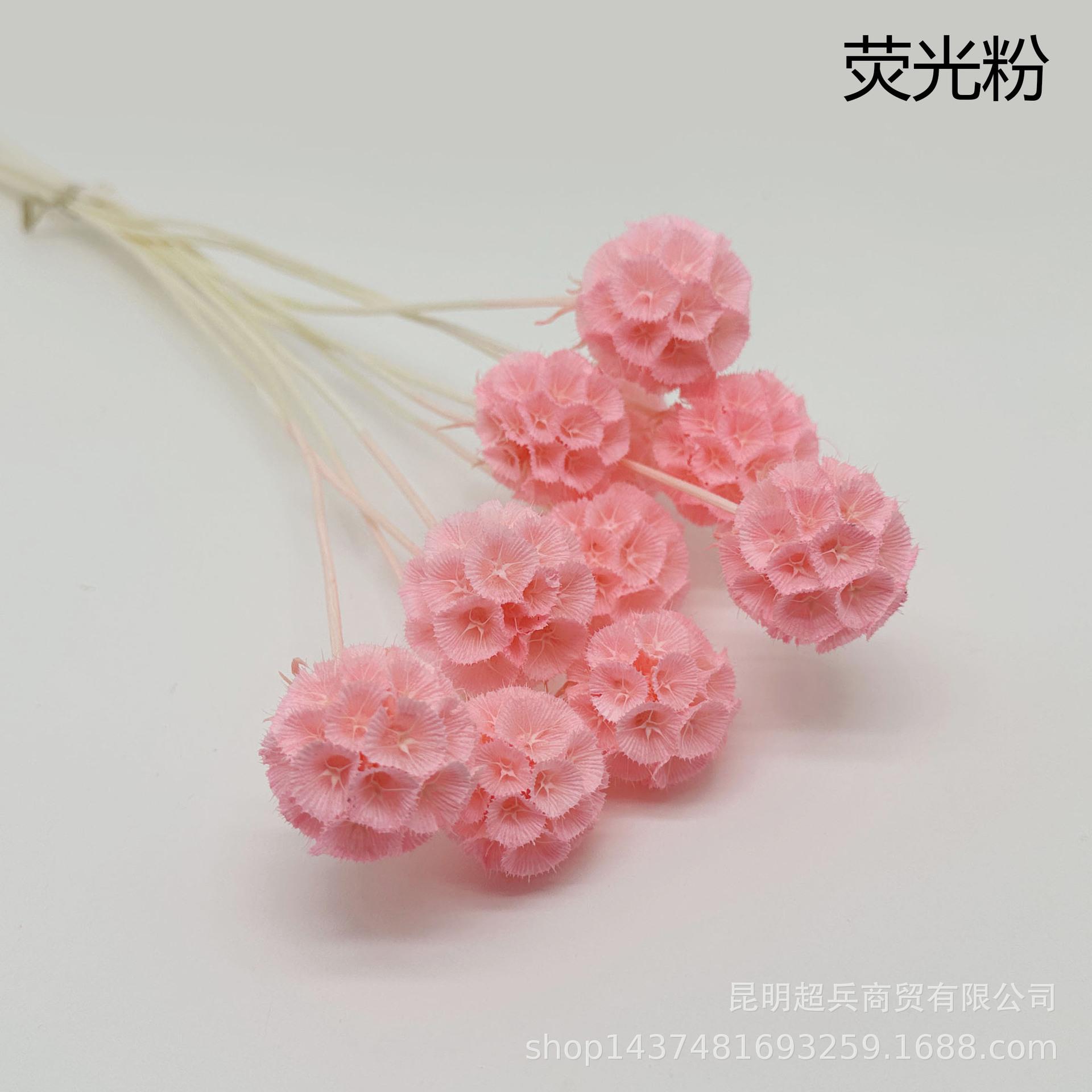 4荧光粉.jpg