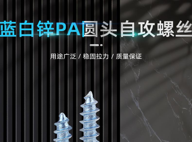 蓝白锌PA十字圆头自攻螺丝_01_01.jpg