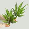 Decoración de pared de planta artificial nórdica hoja de helecho de plástico helecho hierba diseño de jardinera callejera hierba falsa artificial 18 plantas verdes