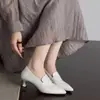 Zapatos de tacón alto de punta para mujer, nuevos mocasines de otoño 2026, elegantes zapatos de trabajo, zapatos de moda de tacón de gata