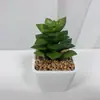 Mini Plantas Suculentas Artificiais em Vasos Quadrados Pequenos de Plástico, Flores Artificiais, Bonsai de Aloe Vera, Plantas Verdes de Mesa, Ornamentos de Suculentas em Vasos