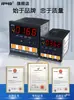 Relé Temporizador de Ciclo Programable Industrial Multicanal Pantalla Digital Electrónico 220V 24 Temporizador Control de Tiempo