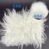 Parches de Piel Sintética para Mascotas Práctica de Esteticista Parches de Pelo de Espalda Pelo de Perro Pelo de Cabeza Esqueleto de Caniche Modelo Oso de Peluche Bichón