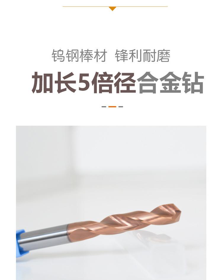 5倍径_01.jpg