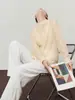 Otoño 2026 Nuevo Estilo Coreano Camisa Minimalista Gama Alta Ligeramente Transparente Manga Larga Blusa de Moda Distribución al por Mayor