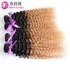 Fábrica de Xuchang Extensiones de Cabello Humano Real T1B/27 Extensiones de Cabello Humano Rizado Kinky