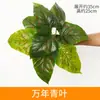 Colgante de pared de planta verde artificial, hojas de hierba, árbol de hierro, plantas tipo helecho, accesorios de hojas de flores falsas, decoración de pared de fondo con hojas verdes, componentes de plástico