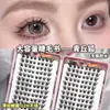 Pestañas Postizas de Gran Volumen para Bricolaje Transfronterizo: Kit de Extensiones de Pestañas Individuales, Segmentadas, Rizadas, Densas, Simuladas, Ligeras, Naturales
