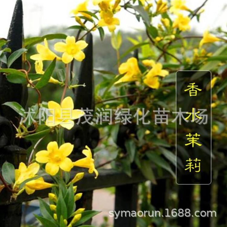 法国香水08