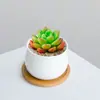 Combinación de Plantas Suculentas Pequeñas en Maceta para Interiores Suculentas Fáciles de Cuidar Plantas Verdes de Escritorio Flores con Maceta Paquete para Principiantes