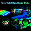 Polvo Luminoso Fluorescente de Alto Brillo de Larga Duración de 12 Colores Transfronterizo Polvo Fluorescente Pigmento Luminoso Aceitoso para Manualidades con Resina Epoxi DIY 20g