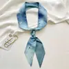 Cordones de Cristal Coreanos Bufanda Larga de Seda Versión Coreana Decoración Versátil para Zapatos Moño Zuecos Cordones Accesorios para Zapatos