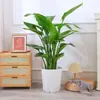 Maceta Flor de Diamante Plástico Sala de Estar Maceta de Diámetro Grande Maceta para Plantas Verdes Ave del Paraíso Maceta Octogonal Engrosada de Gama Alta Planta