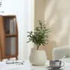 Ins Jiuli Escandinavo Planta Verde Fragante en Maceta Florales Oficina Sala de Estar Escritorio Interior Adornos Purificar el Aire y Eliminar Formaldehído