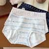 6178 Pantalones Cortos de Seguridad para Mujer Estilo Fair Isle Cuadrados Pequeños, Algodón Puro, Entrepierna Extendida, Largo Completo, Antibacteriano 10A, Cobertura Total