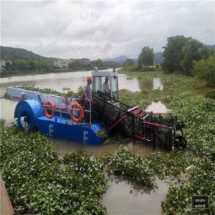 40浙江绍兴水葫芦打捞船 (5).jpg
