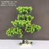 Decoração de Enfeite de Mesa Pinheiro Bem-vindo Pequeno Pinheiro Plantas Verdes Plantas Aquáticas Mini Rochedo Aquário Paisagismo Hotel