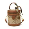 Bolso de Mujer de Gama Alta de Nicho 2026 Modelo Nuevo Bolso de Mano Versátil Acolchado Bolso Cubo Bolso de Hombro Cruzado de Moda para Celebridades de Internet