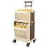 Carrito de Compras para el Hogar, Carrito Plegable Portátil de Doble Capa, Carrito de Compras Portátil con Barra de Tiro de Gran Capacidad