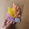 Bolsas de Porciones Pequeñas de Flores Secas, Flores Conservadas, Abanicos Hechos a Mano para DIY, Arreglos Florales Flotantes, Actividades de Team Building, Pegamento, Pinzas