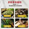 Ju Wan Tang Extrato de Planta Medicinal de Calamina Suave Não Irritante Creme de Cuidado para Uso Externo Creme de Massagem Em Estoque Atacado