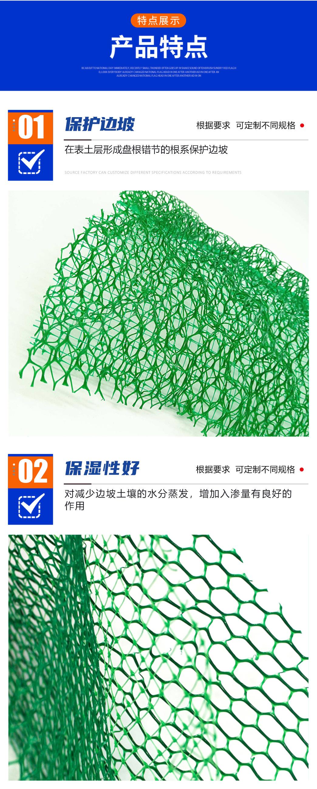 3三维植被网_08.jpg
