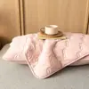 Funda de almohada anti-saliva Clase A, protector de almohada anti-aceite, funda de almohada para hotel y casa de huéspedes, par de capas aislantes anti-sudor