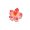 Presilha de Frangipani Colorida Doce de 4cm Venda Quente Transfronteiriça Acessório de Cabelo Doce Acessório de Cabeça Feminino Flor Acessórios de Cabelo Presilha de Cabelo Placa Atacado