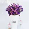 Directamente de Yunnan Nomeolvides Gypsophila Flores Reales Semisecas Secadas al Aire Naturalmente Flores Conservadas Regalo Adorno para Sala de Estar Mesa de Comedor