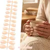 Adesivos de Nail Art de Comércio Exterior Mais Vendidos, Cor Nude Transparente, Cor Sólida, 24 Peças, Tamanhos Variados, Pontas de Nail Art Usáveis, Atacado