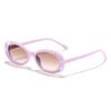 Gafas de Sol Nuevas Ovaladas de Contraste de Color Camelia Caladas Personalidad para Niños Esenciales para la Calle Hip-Hop