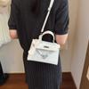 Versión Coreana 2026 de Bolso de Hombro Sencillo, Bolso Cruzado Elegante y de Moda, Bolso de Mano de Nicho de Moda de Alto Valor para Mujer, Bolso Pequeño Elegante