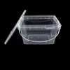 Maleta Rectangular Transparente Almacenamiento de Agua Cubo de Pintura Cubo de Pesca Semillas Alimentos Cubo de Empaque de Plástico Cubo de Almacenamiento Venta al por Mayor