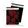 Diário Rosa Papel Vermelho da Internet Feliz Dia dos Namorados Buquê Presente Papel Kraft Papel de Embrulho Flor Inglesa diy em estoque