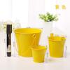 Cubo Pequeño de Hierro de Color Caramelo, Cubo Portátil Creativo para Suculentas, Decoración Moderna Minimalista para el Hogar, Maceta Pequeña de Lata para Almacenamiento