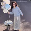 Novo Conjunto de Roupa para Meninas Primavera e Outono de 2026: Conjunto de Duas Peças da Moda: Jaqueta com Capuz e Zíper de Manga Longa e Calça Larga de Cor Sólida